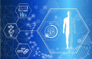 AI醫(yī)療的落地應(yīng)用全景 從智能診療到基礎(chǔ)軟件開發(fā)的實踐與探索